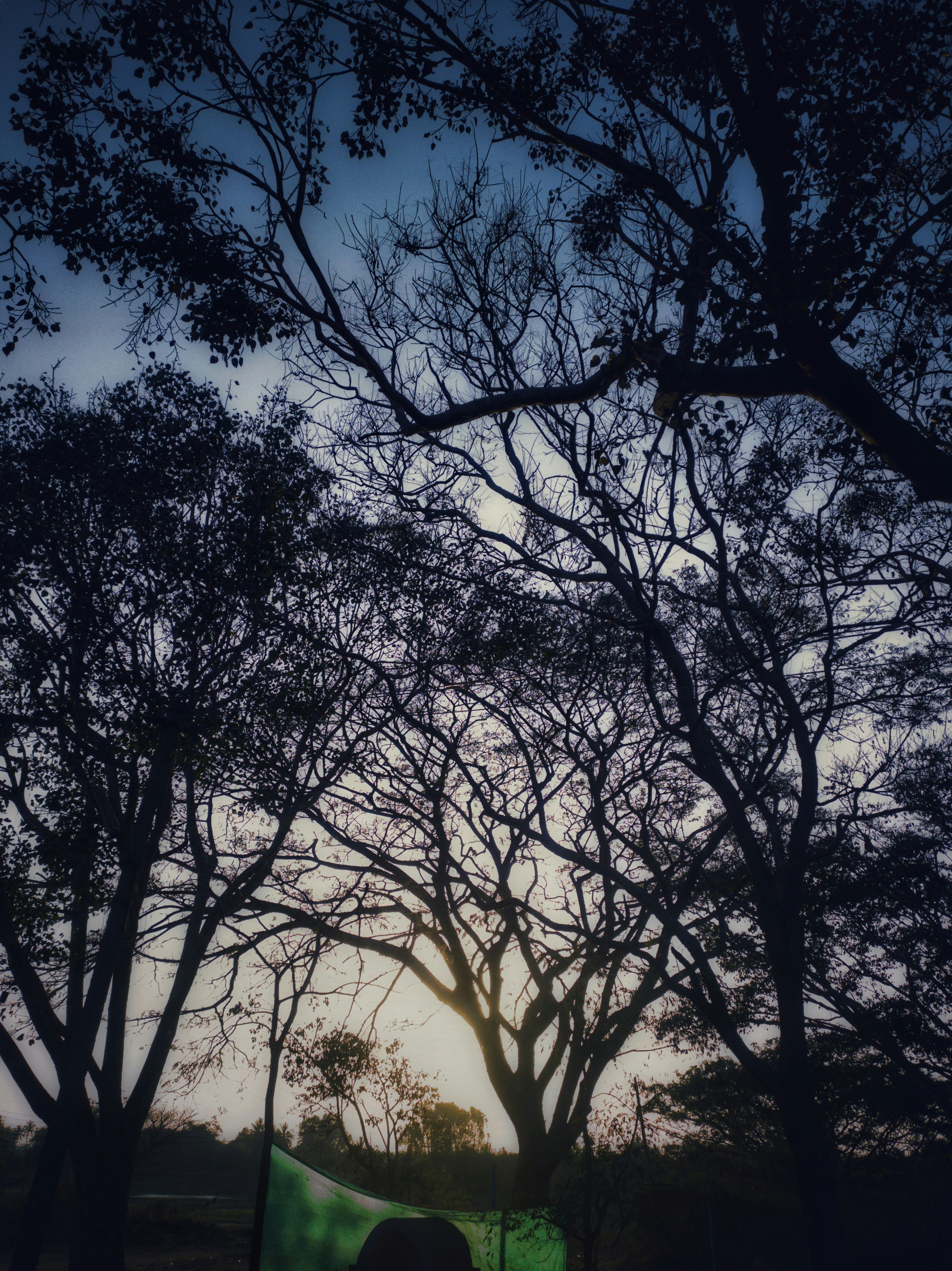 Photo by smaran__chowdary