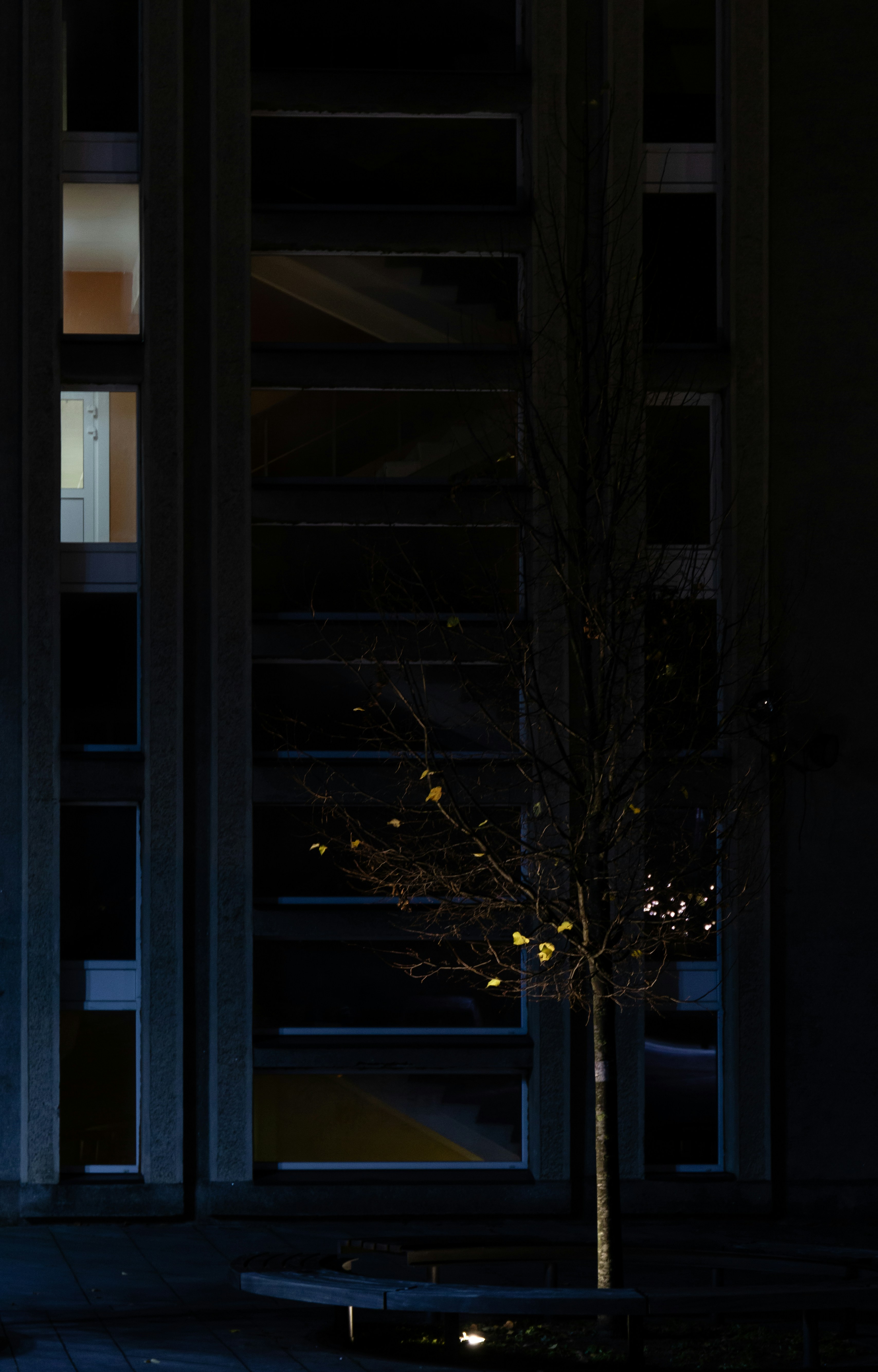 Photo by clearvision_95