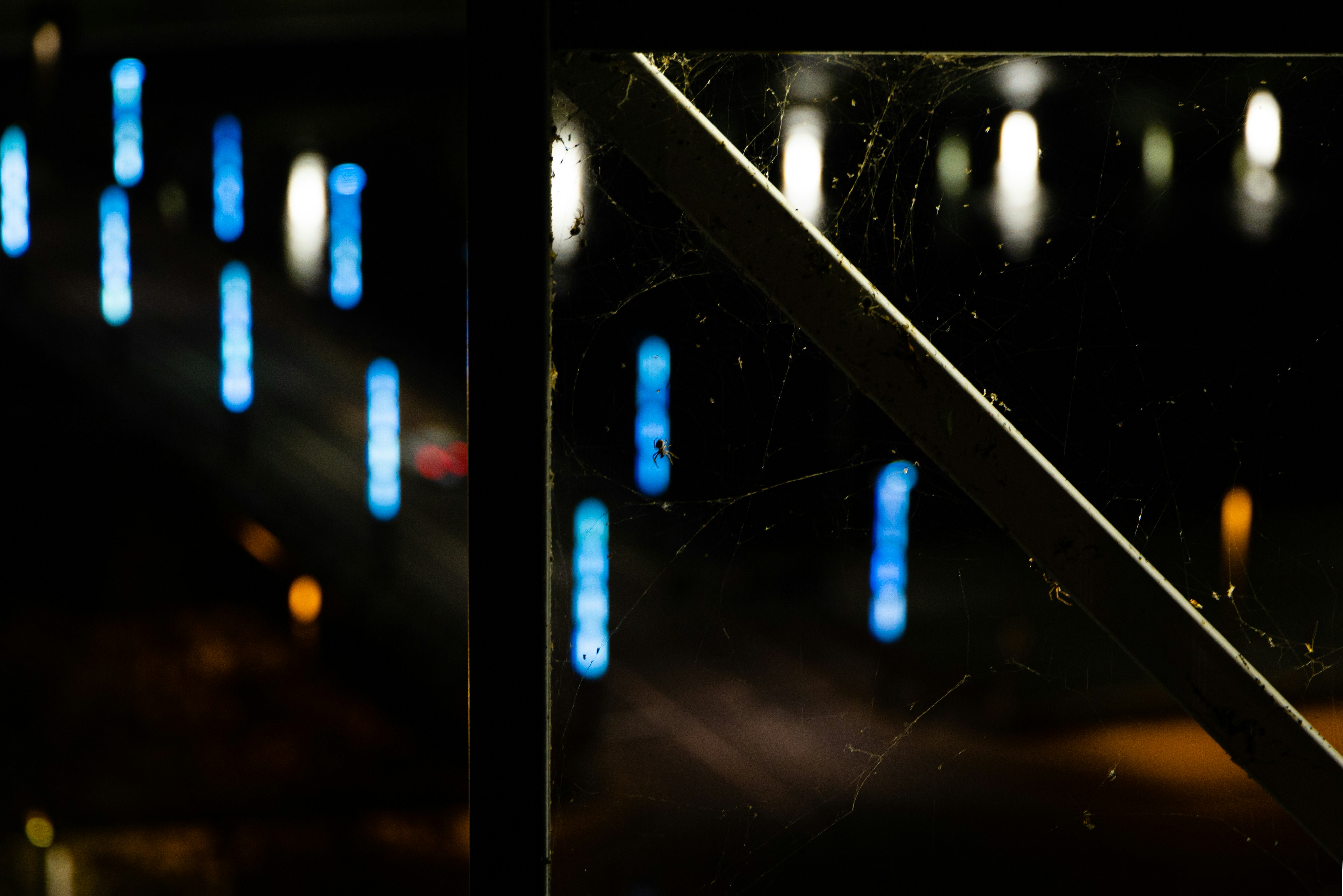 Photo by clearvision_95