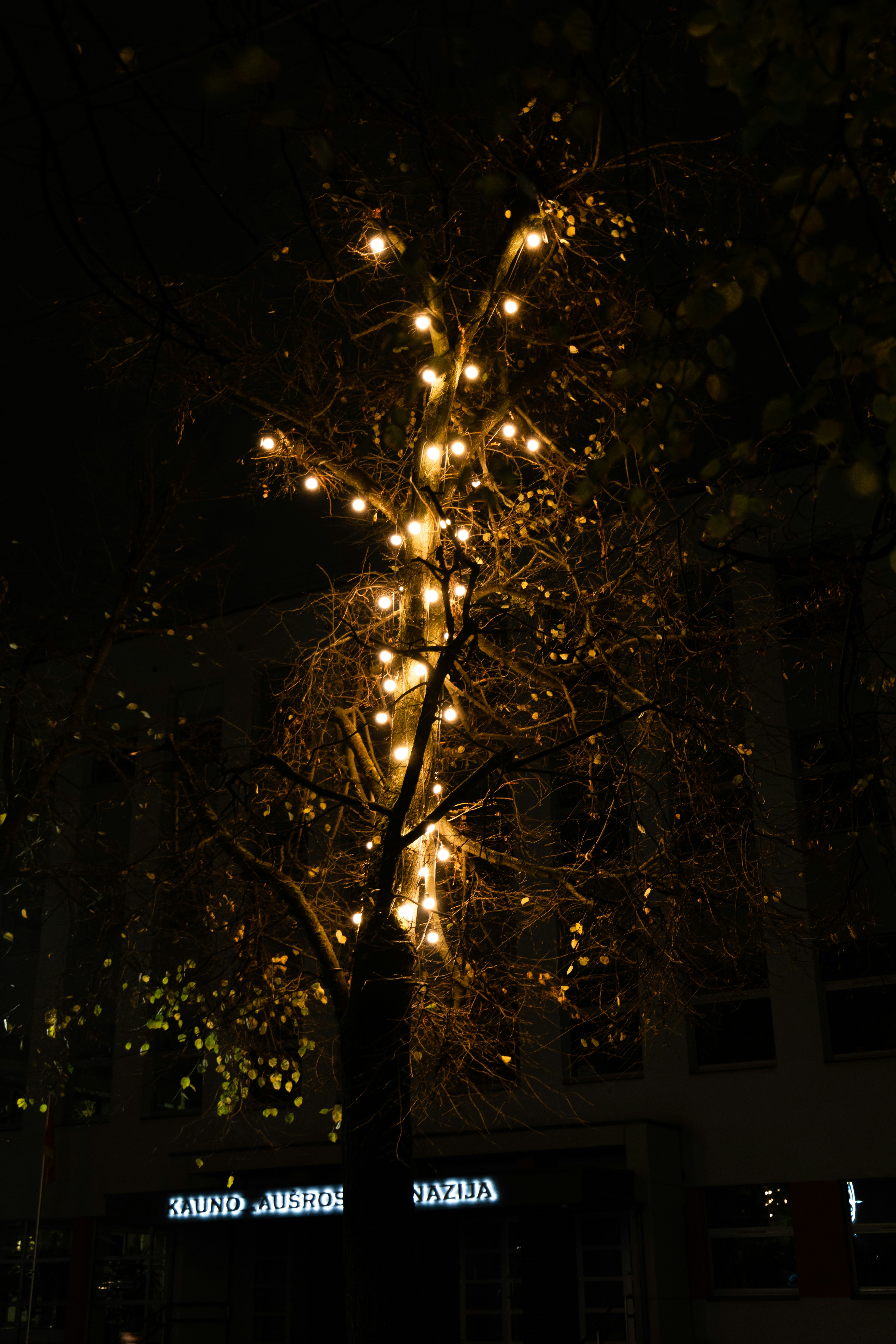 Photo by clearvision_95