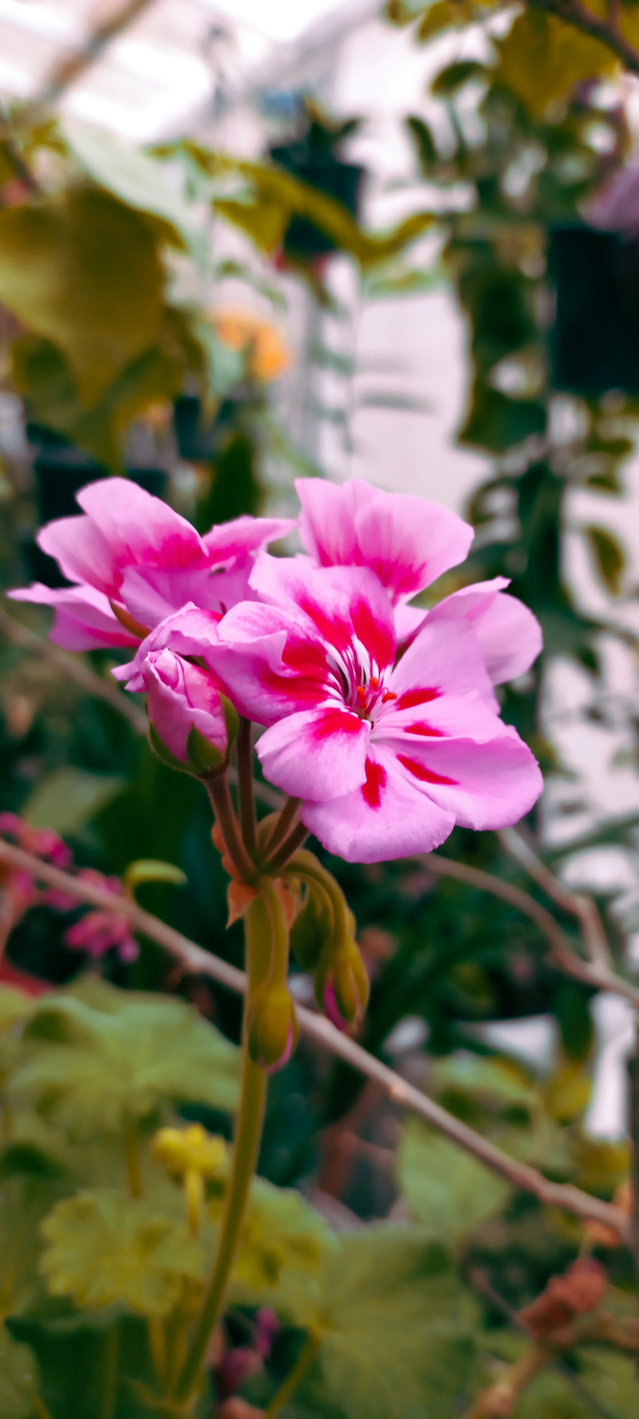 Photo by moonlight_photo0