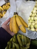 A hand holds a bunch of ripe yellow bananas with a small sticker on one of them. In the background, there are more bananas and some other round, pale-colored fruits. The setting appears to be a market or grocery store with produce displayed in bins.