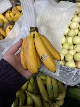 A hand holds a bunch of ripe yellow bananas with a small sticker on one of them. In the background, there are more bananas and some other round, pale-colored fruits. The setting appears to be a market or grocery store with produce displayed in bins.