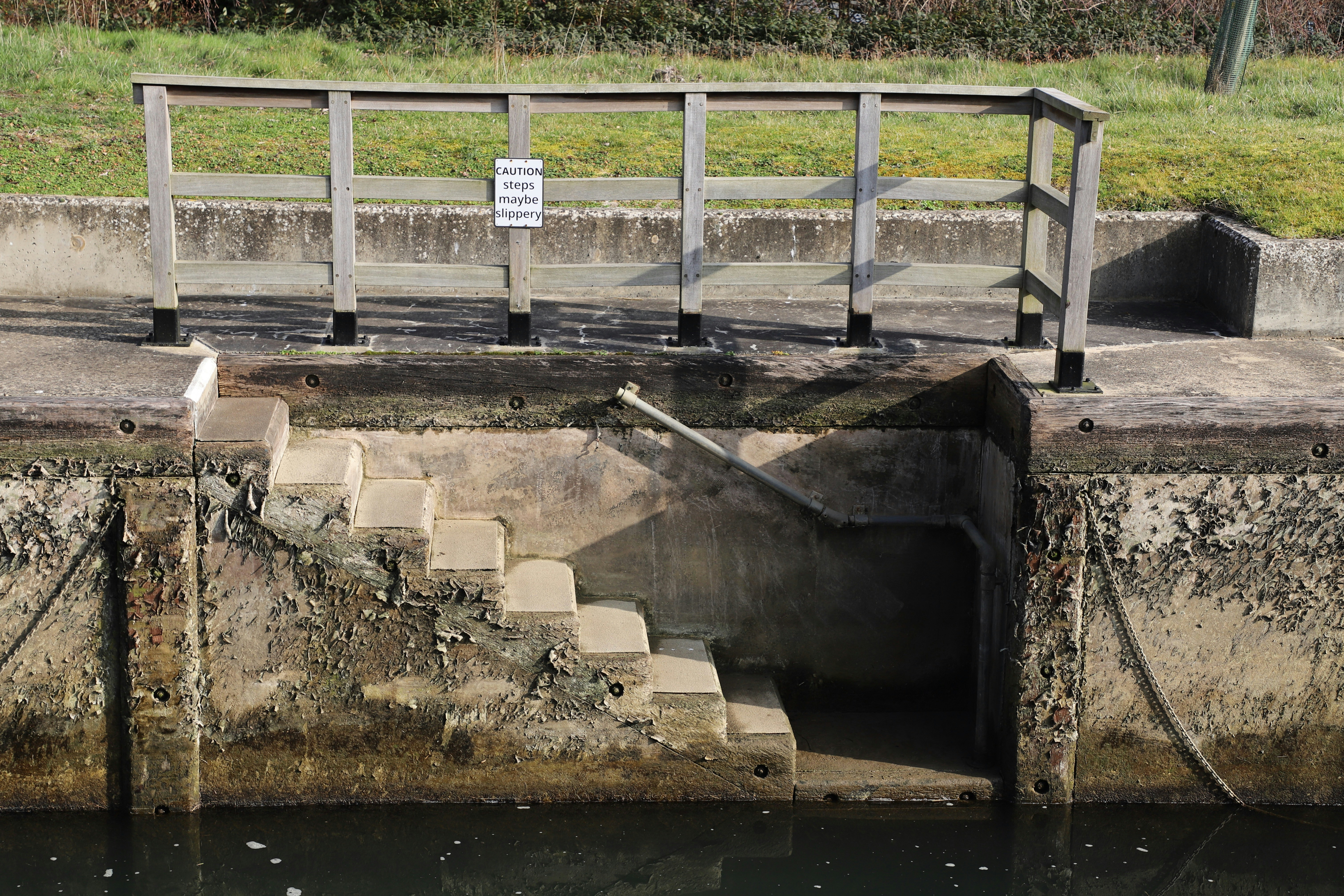a bird is sitting on the steps leading to the water