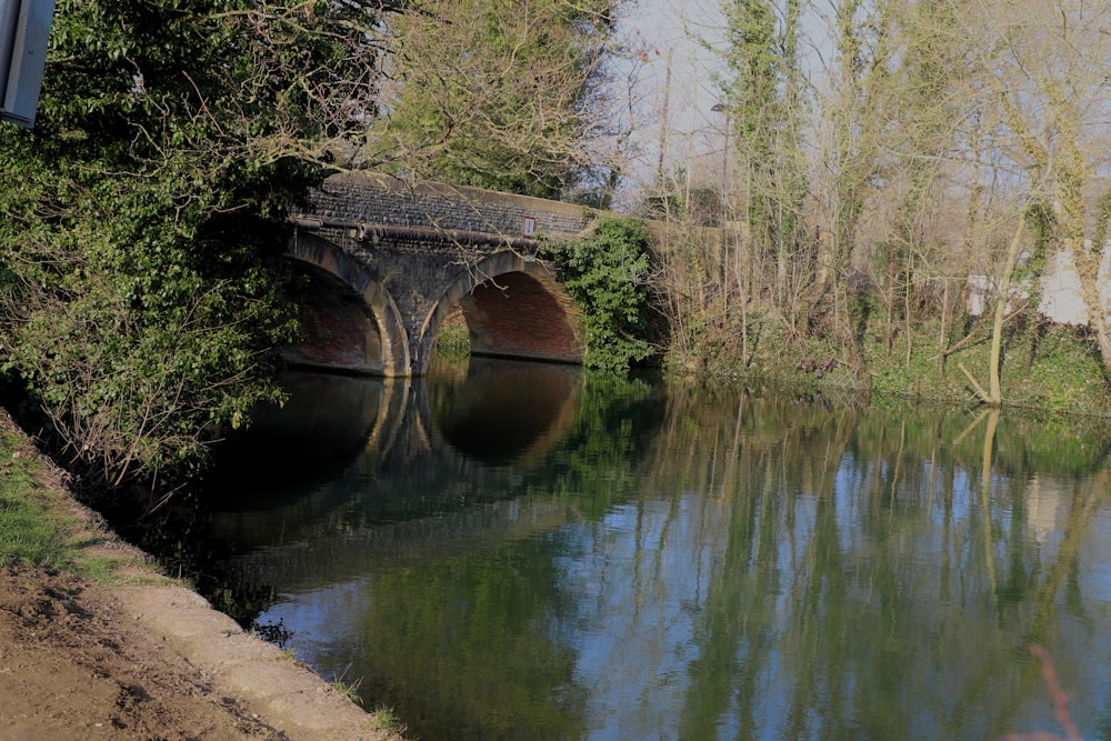 a bridge over a body of water surrounded by trees