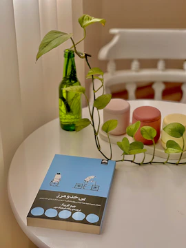 Close-up of a serene reading nook with a book titled 'Controle Mental' resting on a wooden table beside a green plant.