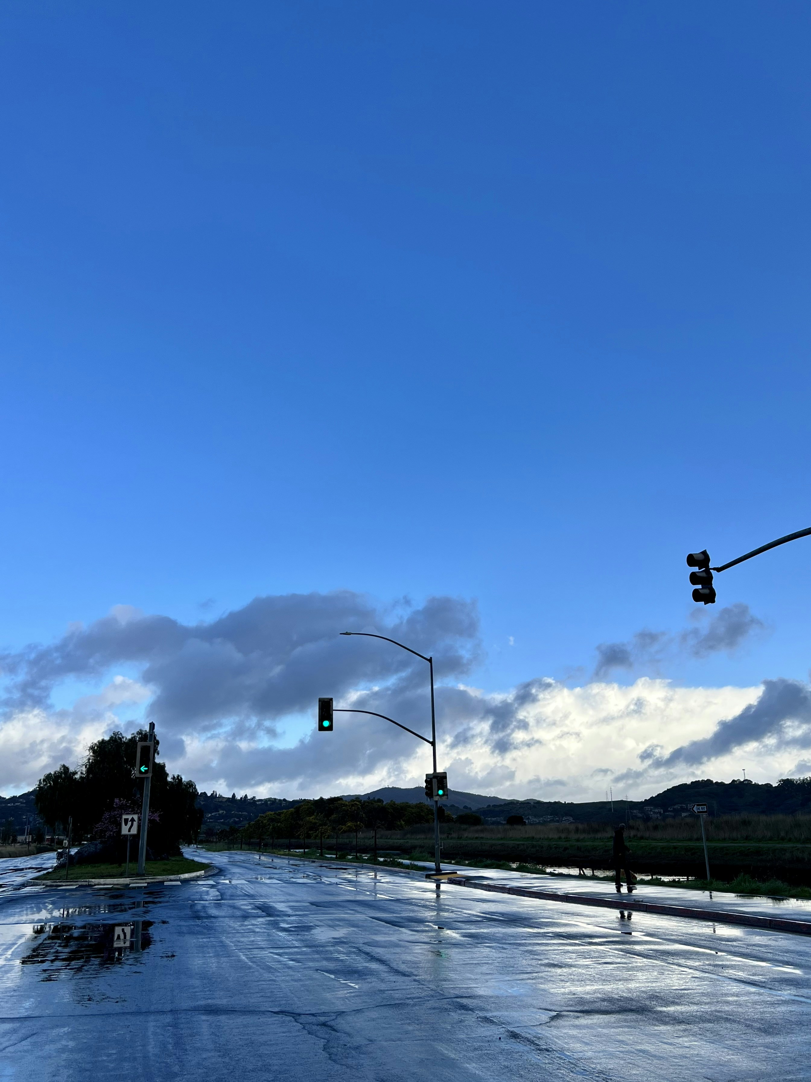 a street with a stop light and a street sign