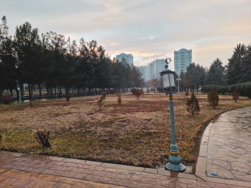 a street light in the middle of a park