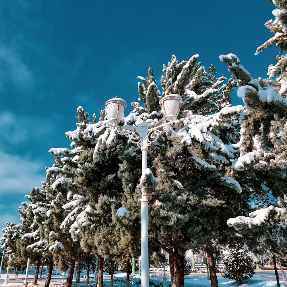 a street light surrounded by snow covered trees