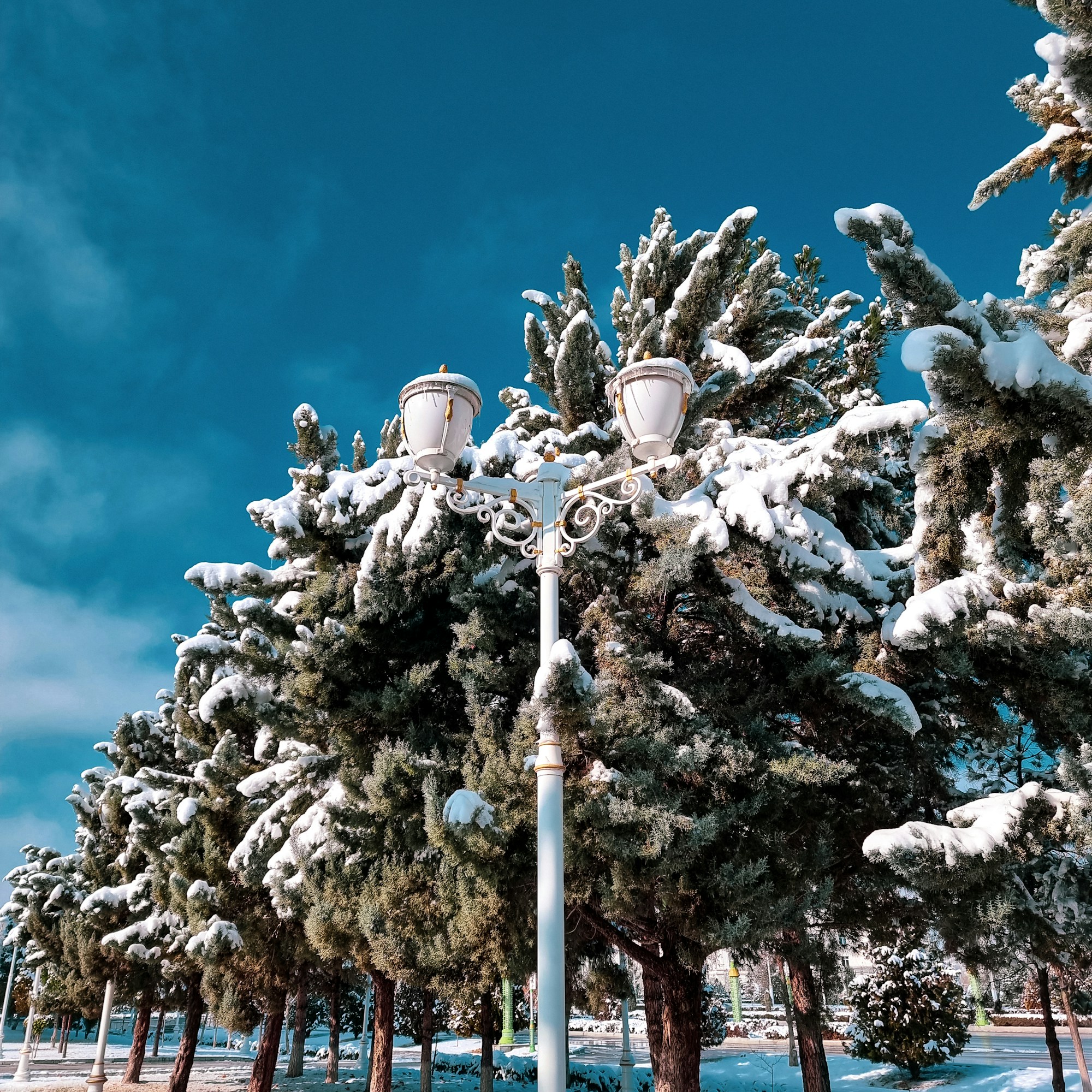 Ashgabat Cultural Travel: History, Traditions & Celebrations