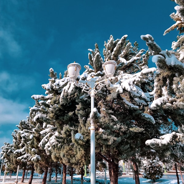 Ashgabat Cultural Travel: History, Traditions & Celebrations