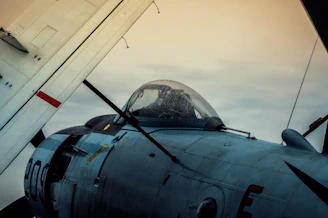 Pilot preparing for a sunset demonstration flight with the sleek black L39 Albatros.