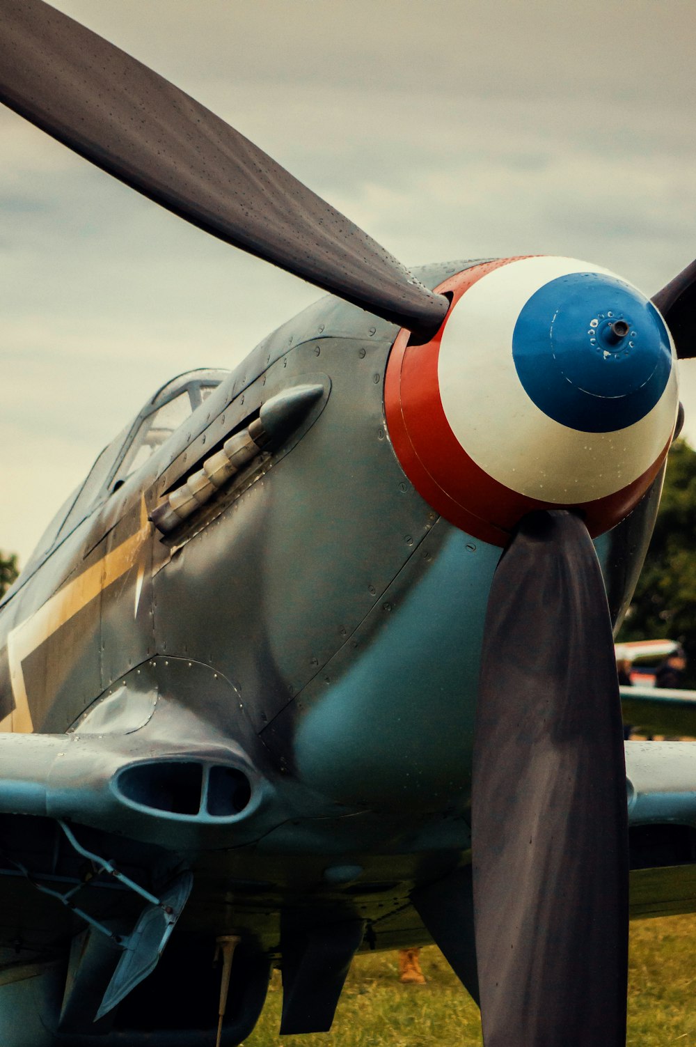 a propeller plane sitting on top of a lush green field