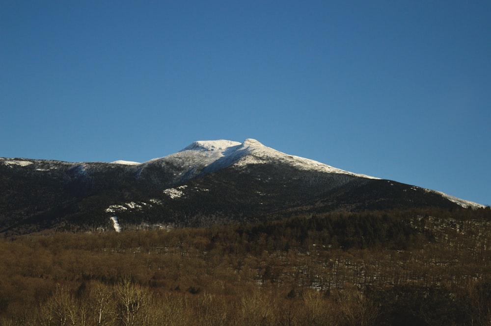 uma montanha coberta de neve no meio de um campo