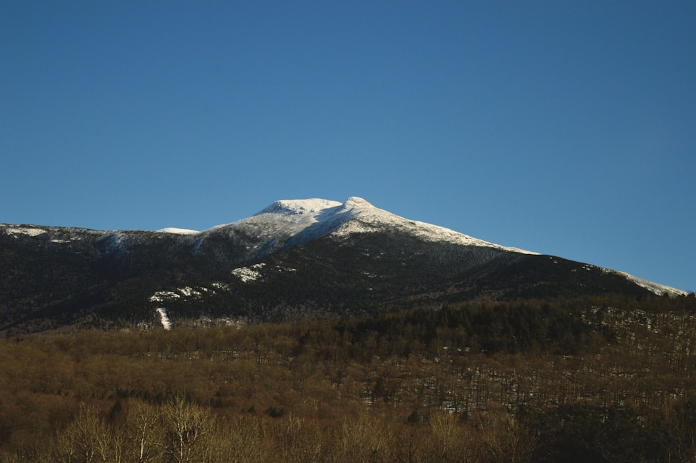 a snow covered mountain in the middle of a field