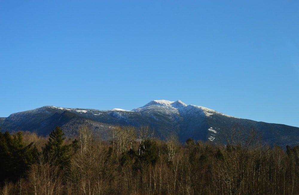 a snowy mountain range with trees in the foreground