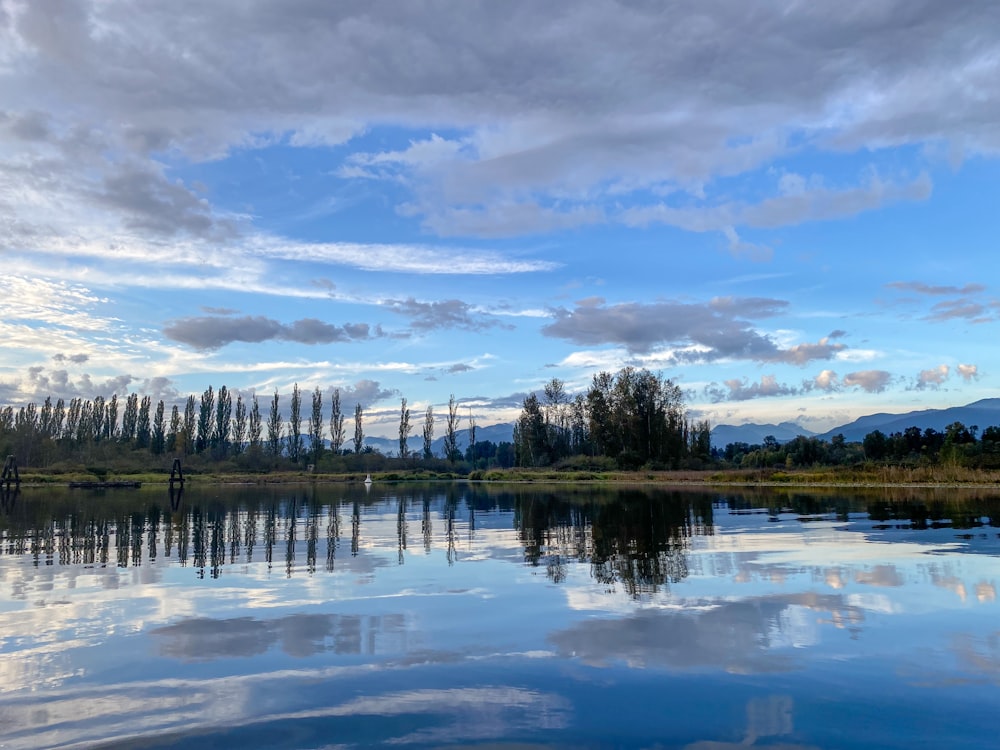 a body of water surrounded by trees and clouds