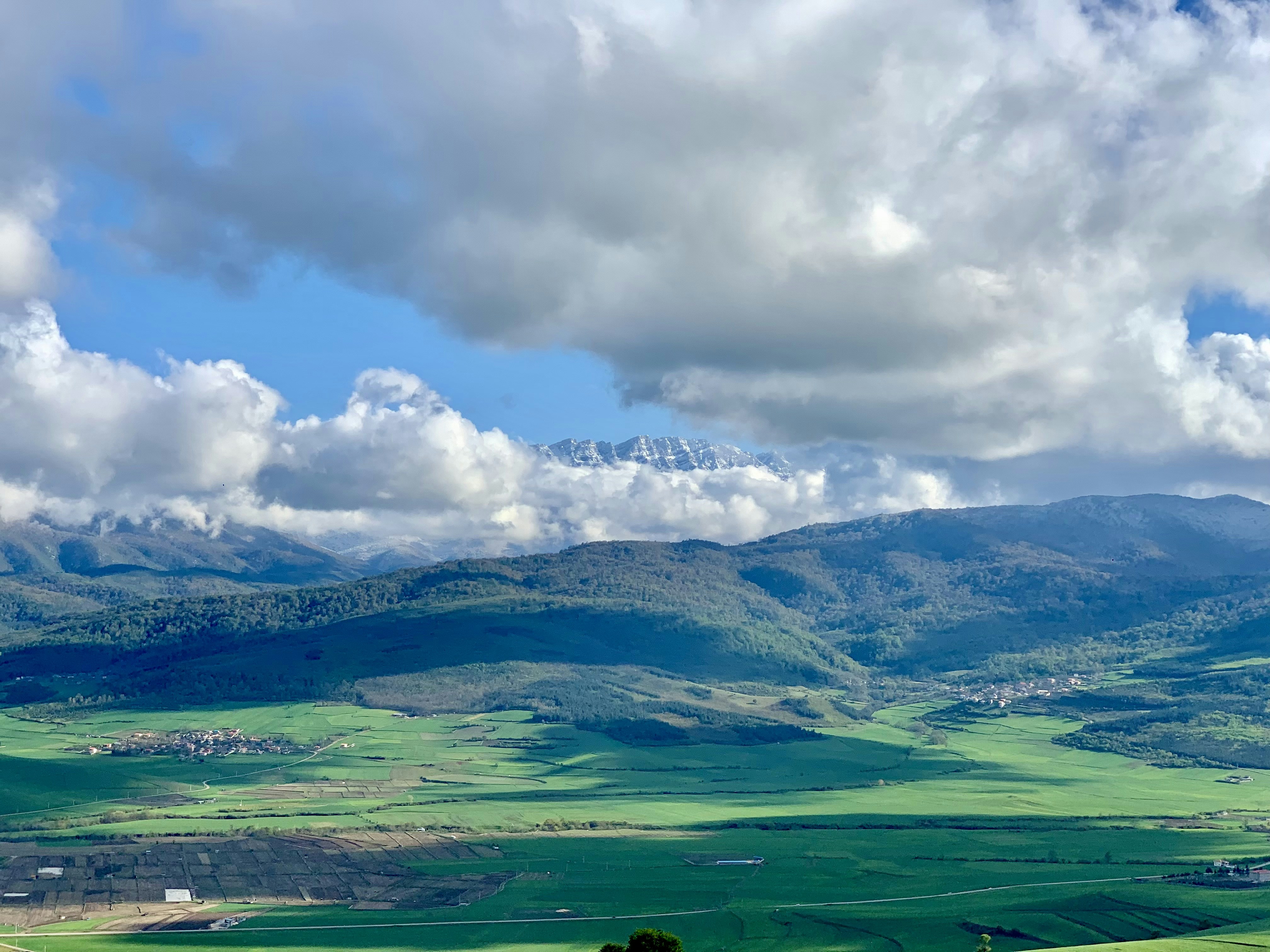 Photo by kosarmoradi