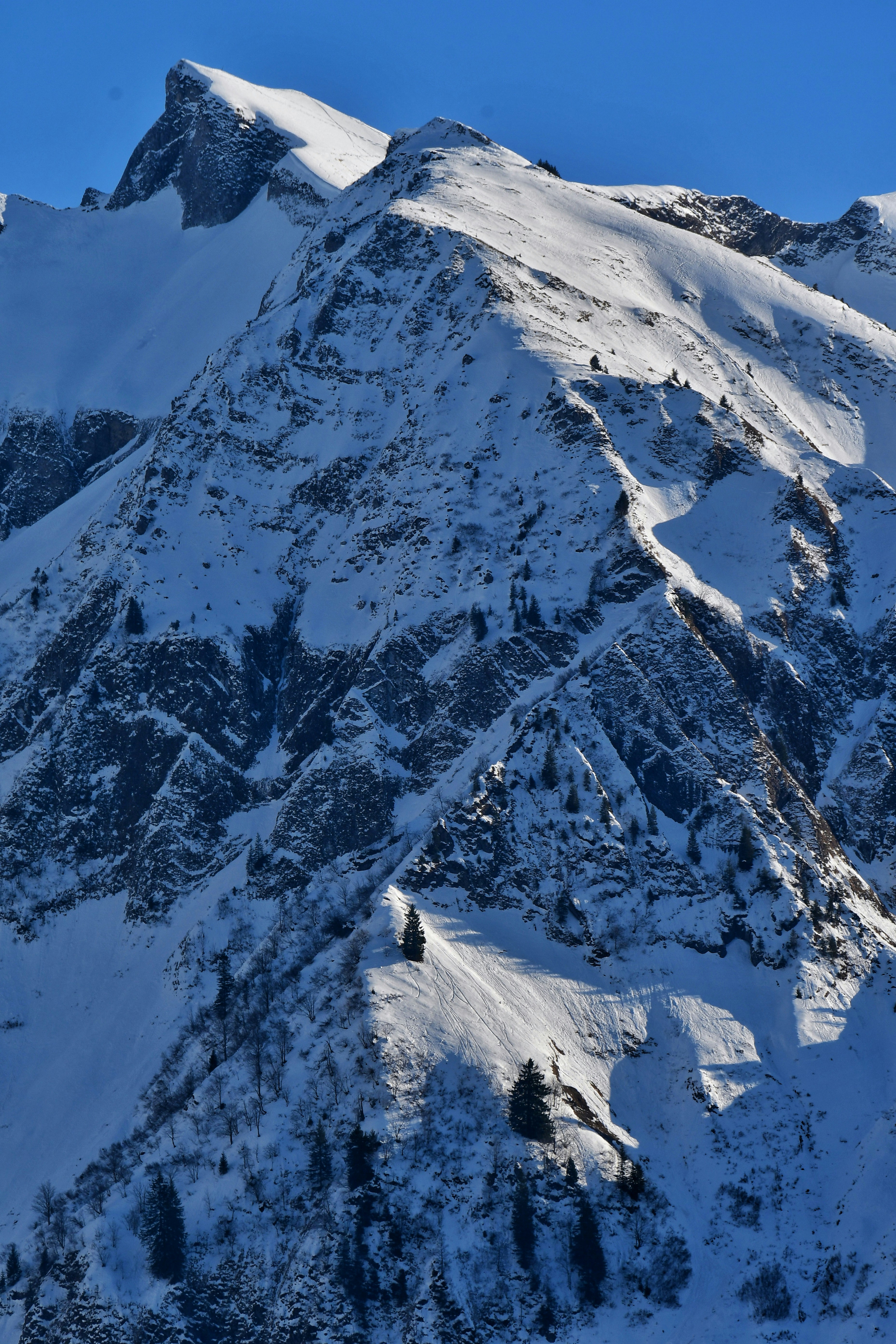 Photo by pedrino5_official