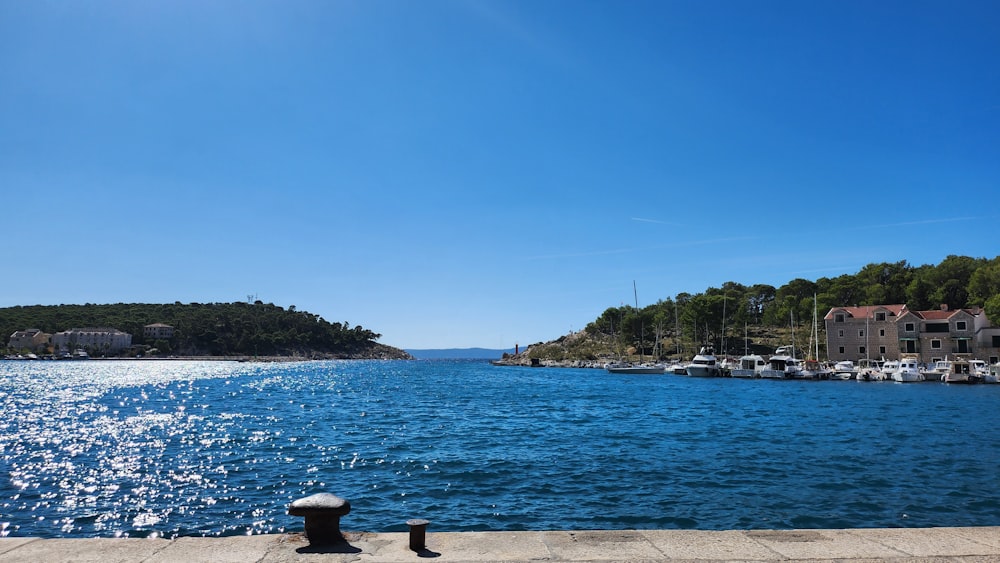 a body of water with a bunch of boats in it