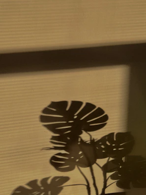 Warm afternoon light casting shadows over a cozy garden corner with potted plants.