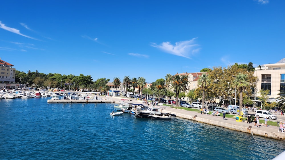 a harbor filled with lots of boats next to tall buildings