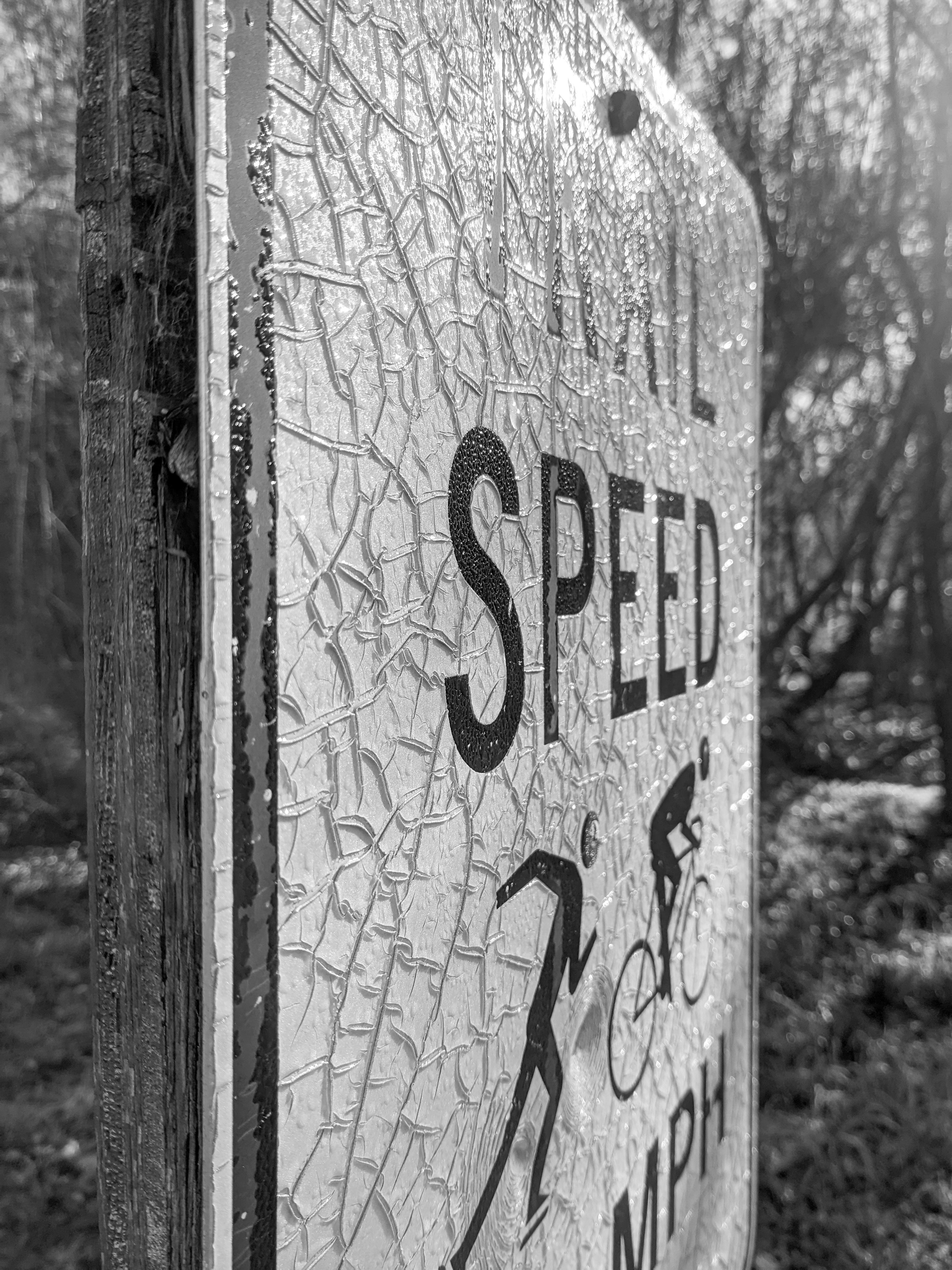 Easy Service Creation & Customization