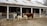 A rural scene with a barn featuring a white roof and red walls. In front is a group of animals including two sheep, a black-and-white cow, and a brown cow standing on bare ground. Metal feeding racks are present next to them, and the area appears to be part of a farm setting.