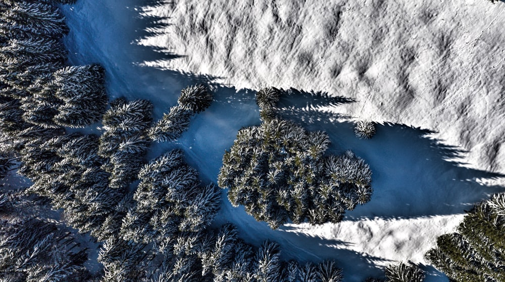 an aerial view of a snow covered forest