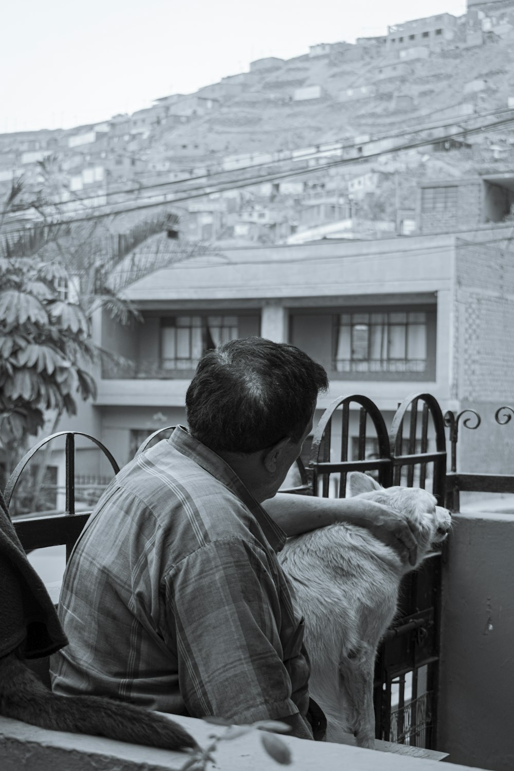 a man sitting on a balcony petting a goat