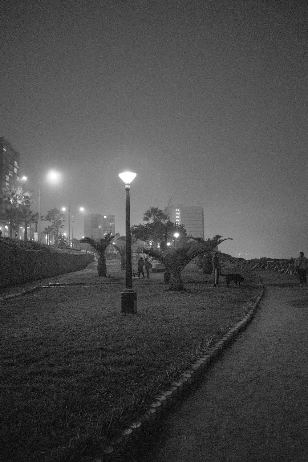 a black and white photo of a park at night