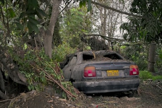 An abandoned vehicle surrounded by greenery.