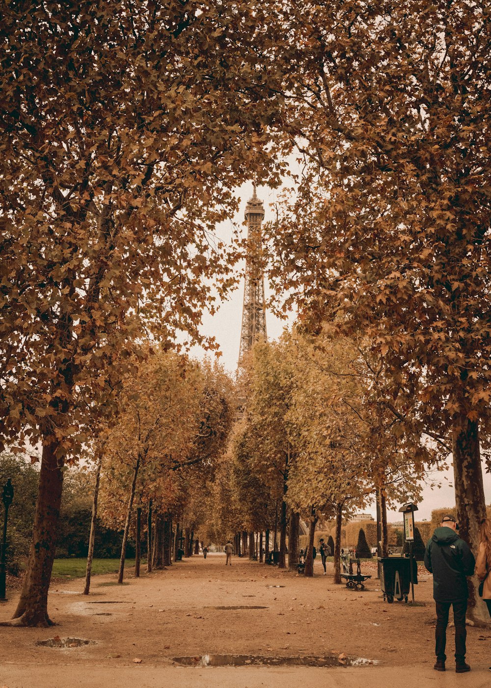 a group of people walking down a tree lined street