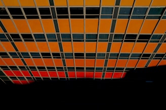 A creative grid layout featuring fragmented glimpses of faces and hands, unified by high contrast and burnt orange details.