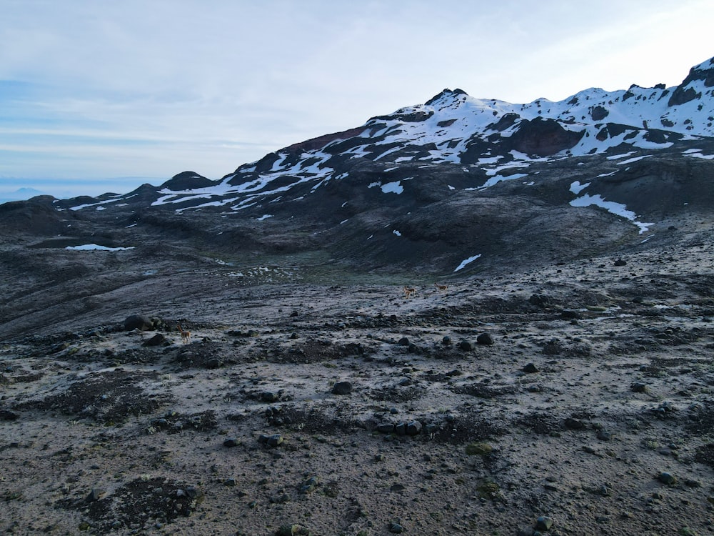 a mountain with snow on it with a sky background