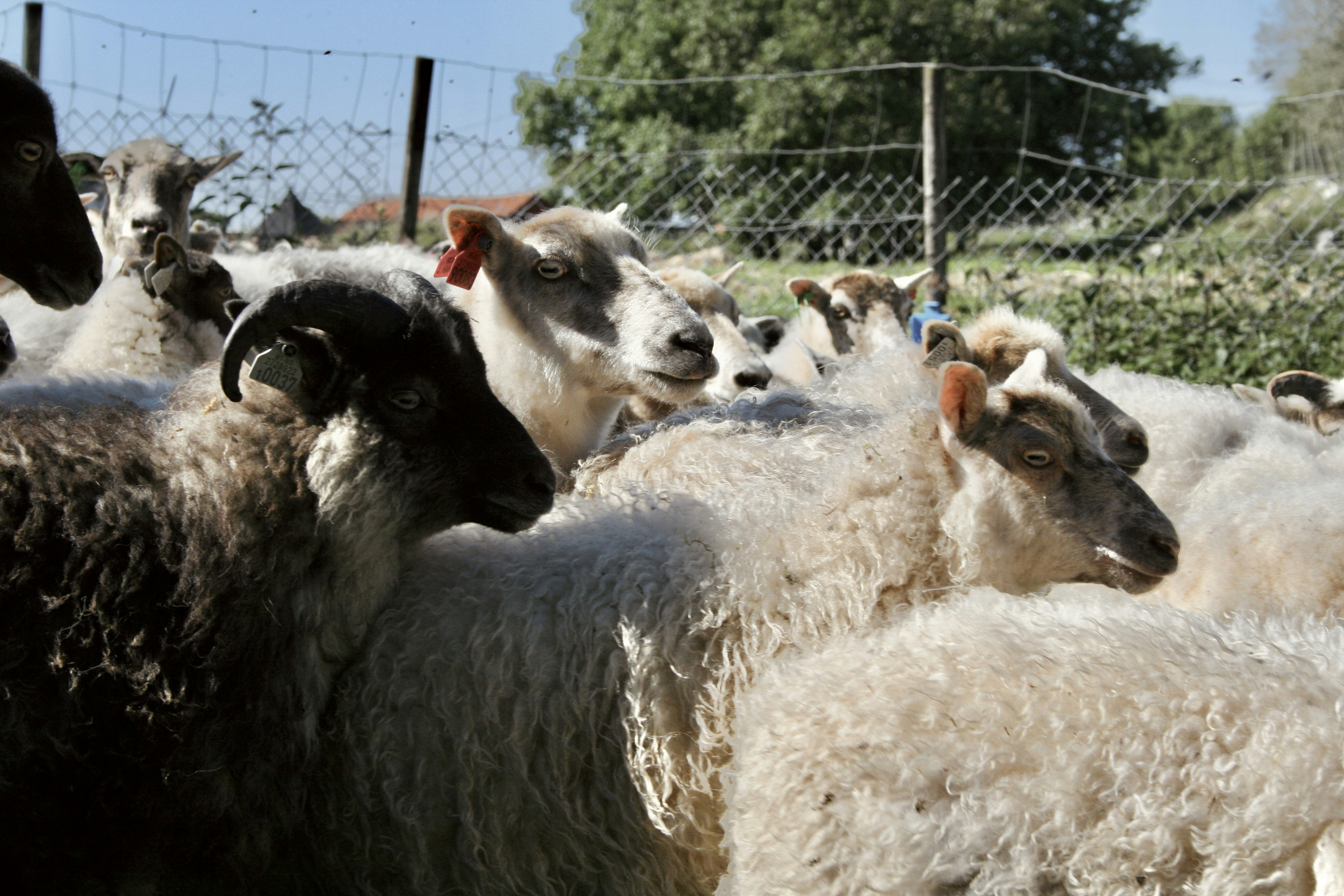 Photo by kristinokarlsen