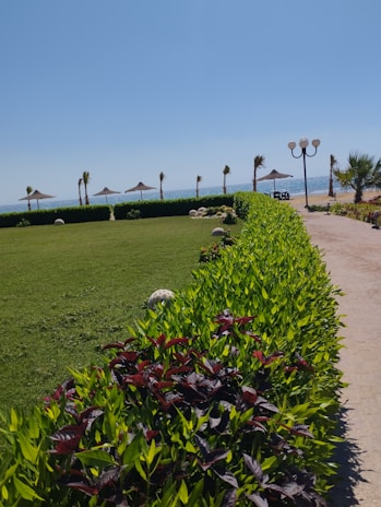 A well-maintained green space in Agadir.