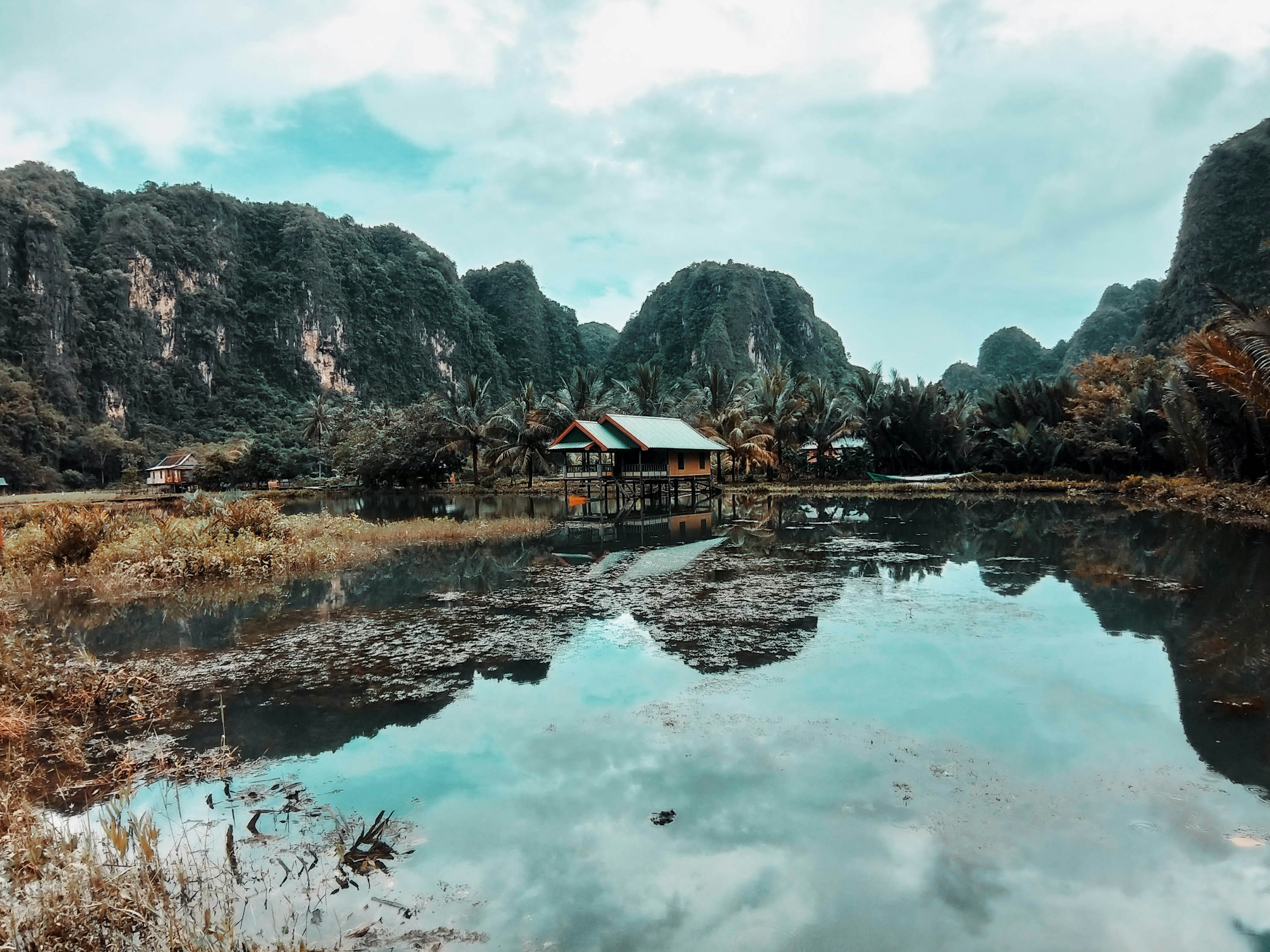 a body of water surrounded by mountains and trees