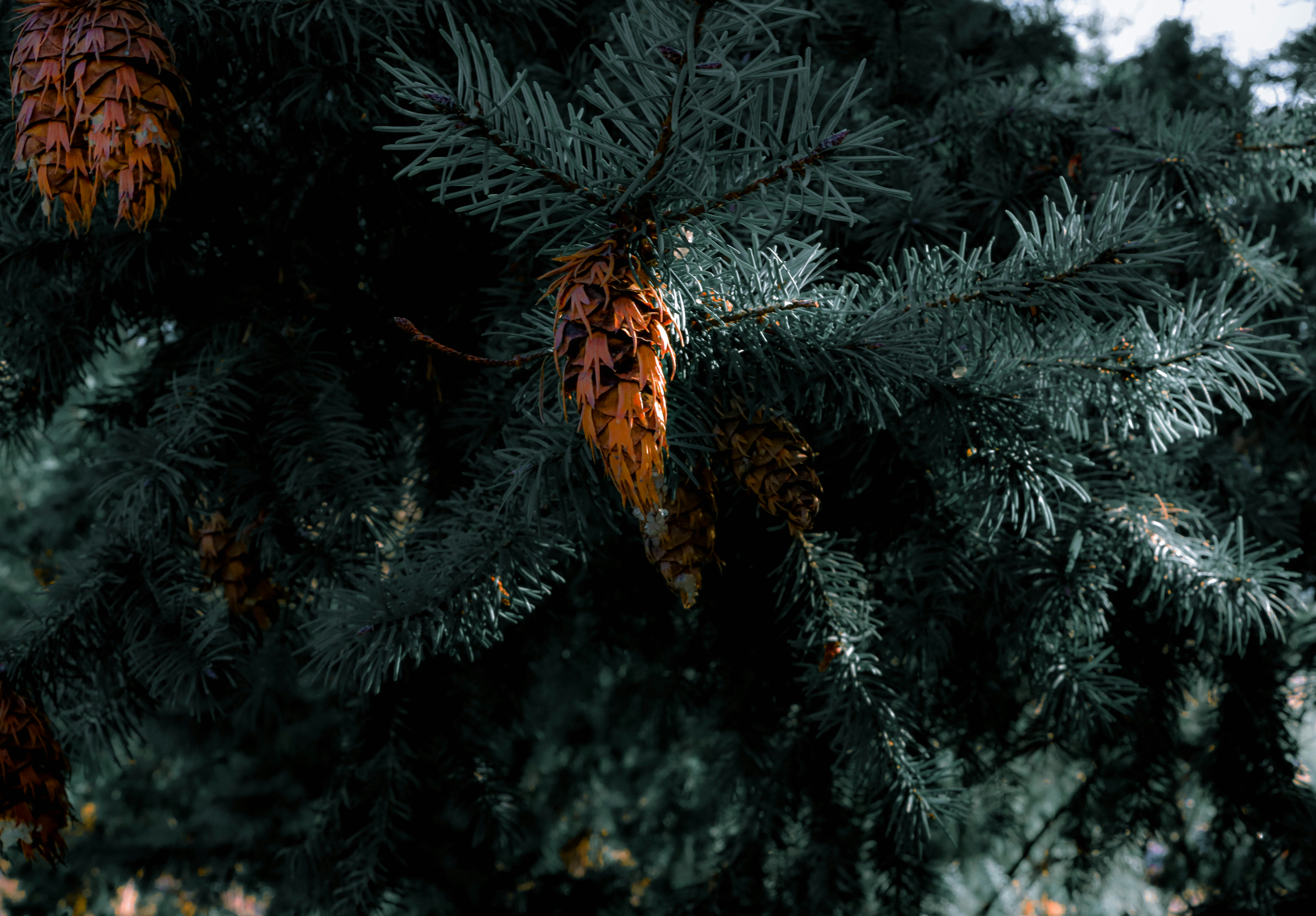 Photo by davidjboozer