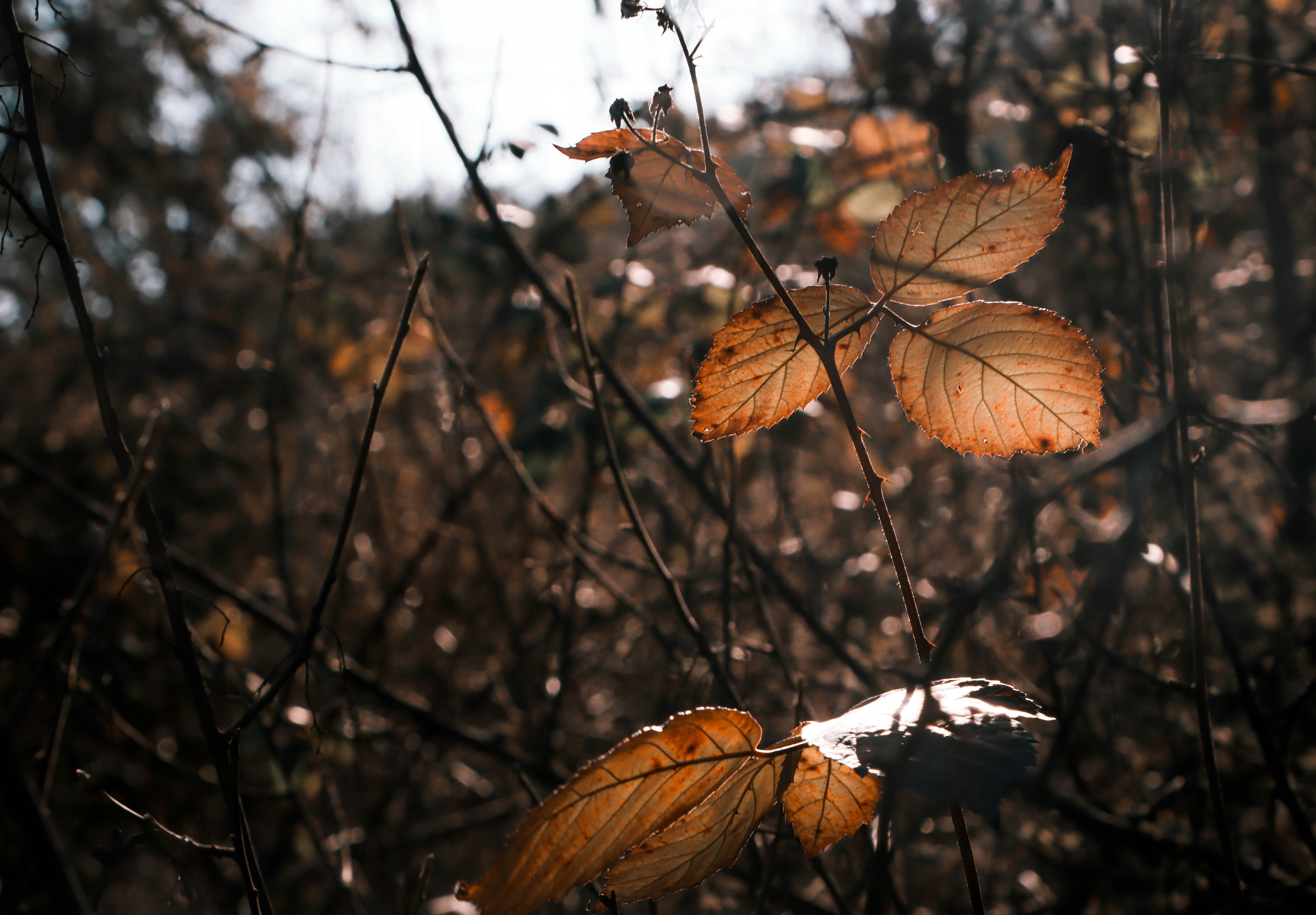 Photo by davidjboozer