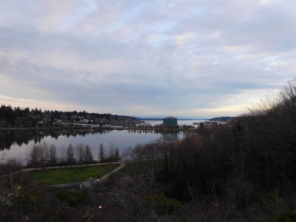 a large body of water surrounded by trees