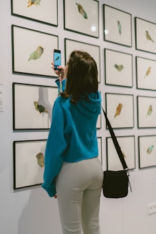 A person wearing a blue hoodie is taking a photo of framed bird illustrations displayed on a wall. The individual holds a smartphone and stands closely to the artwork, which consists of several small frames, each containing a different bird depiction.