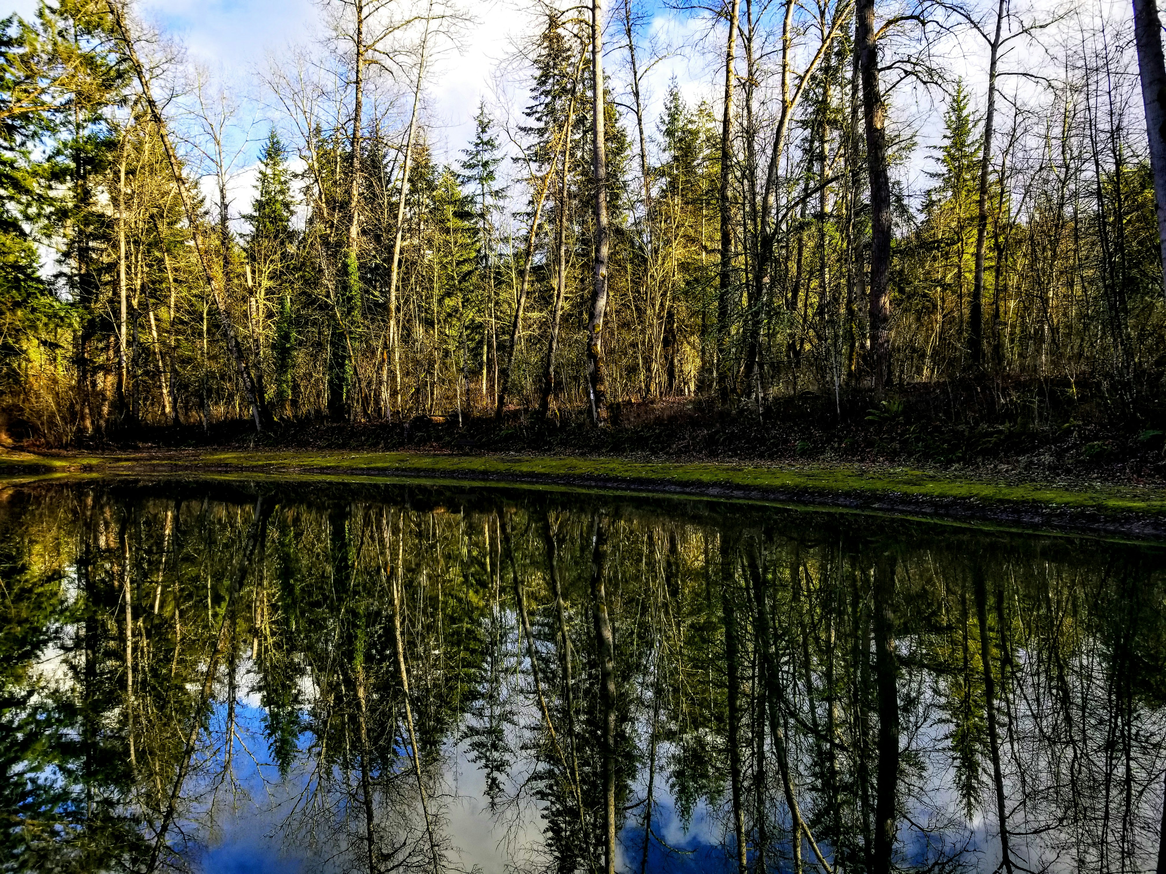 Photo by prphotography262