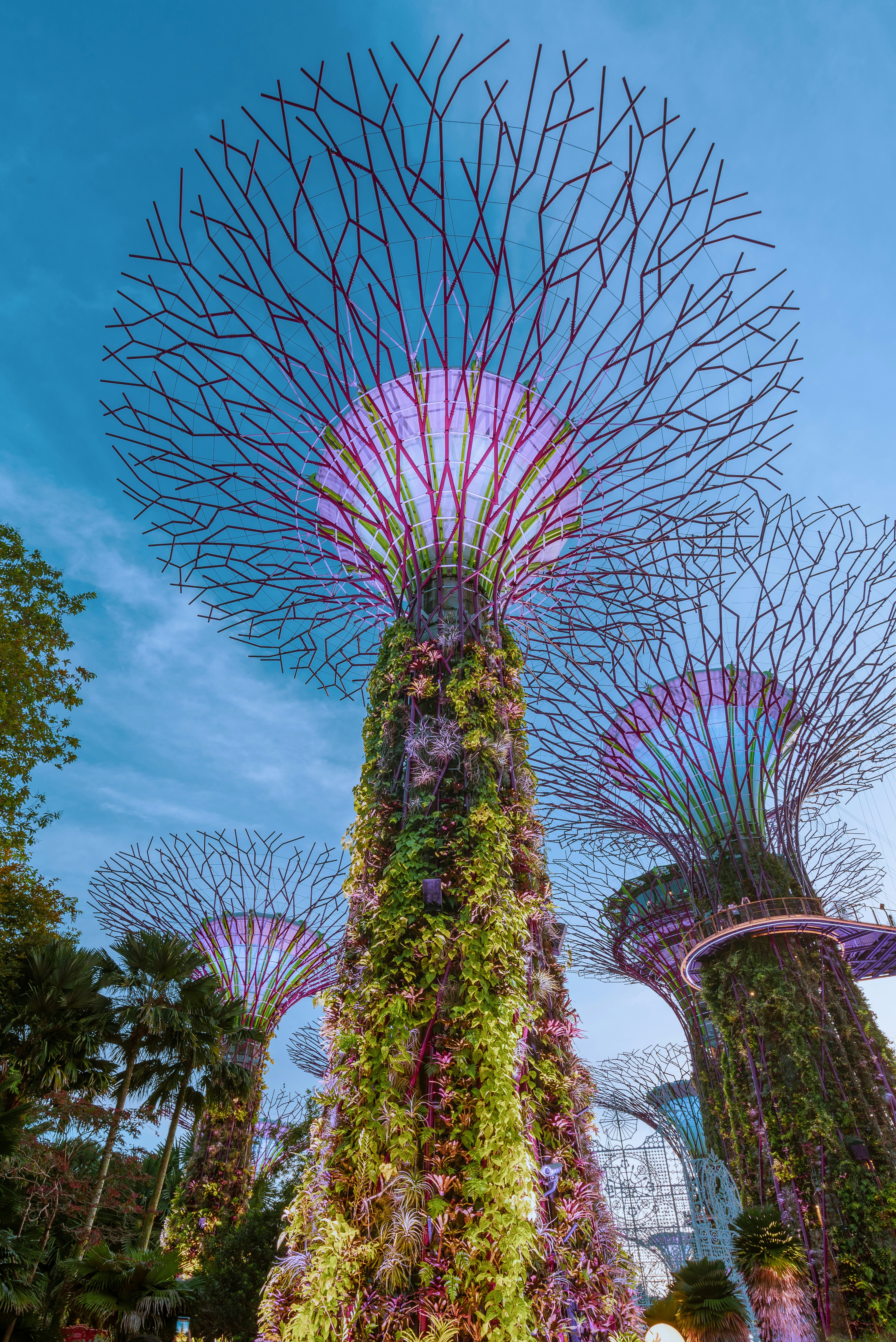 Photo by nikhilyagnic