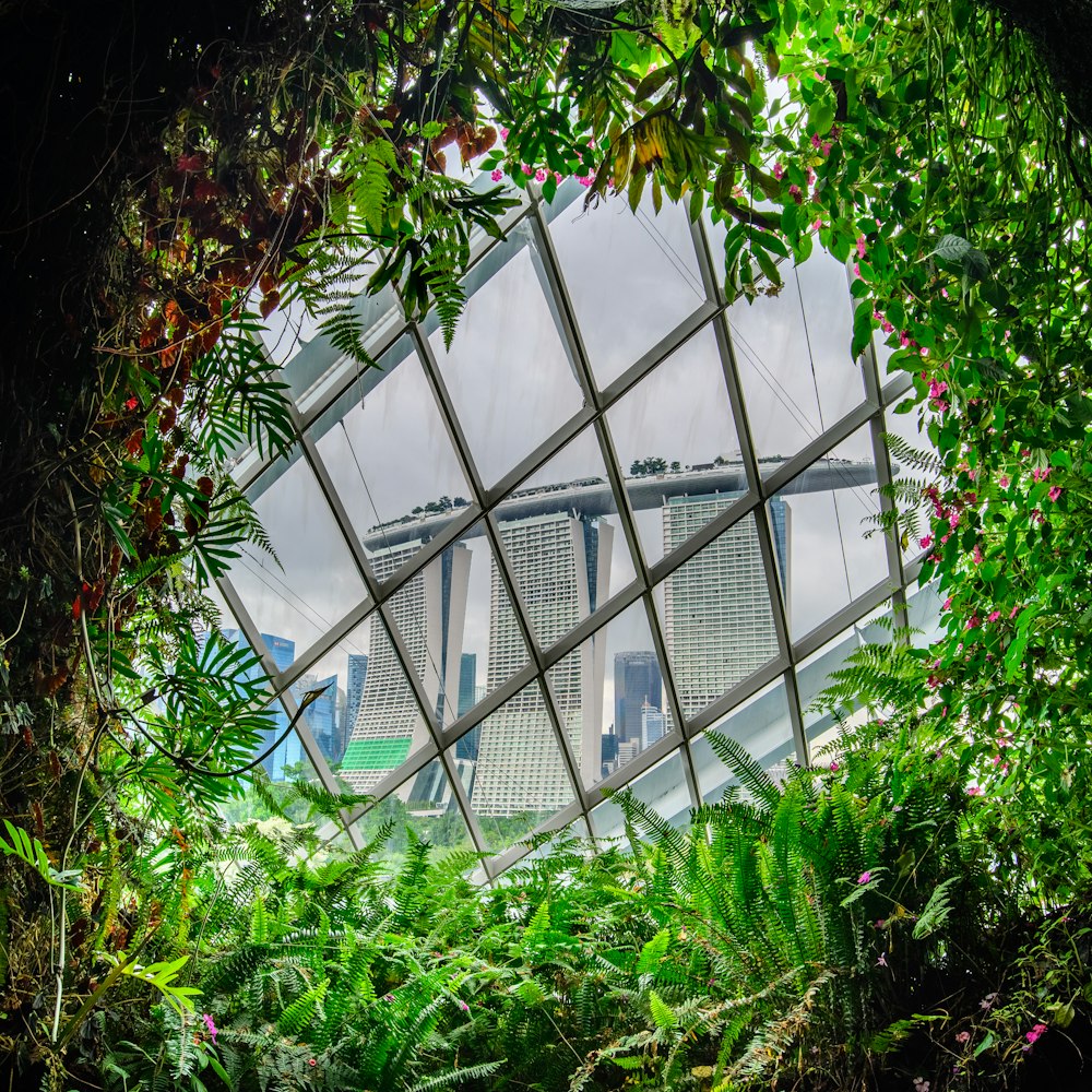 uma vista de uma cidade através de uma janela de vidro