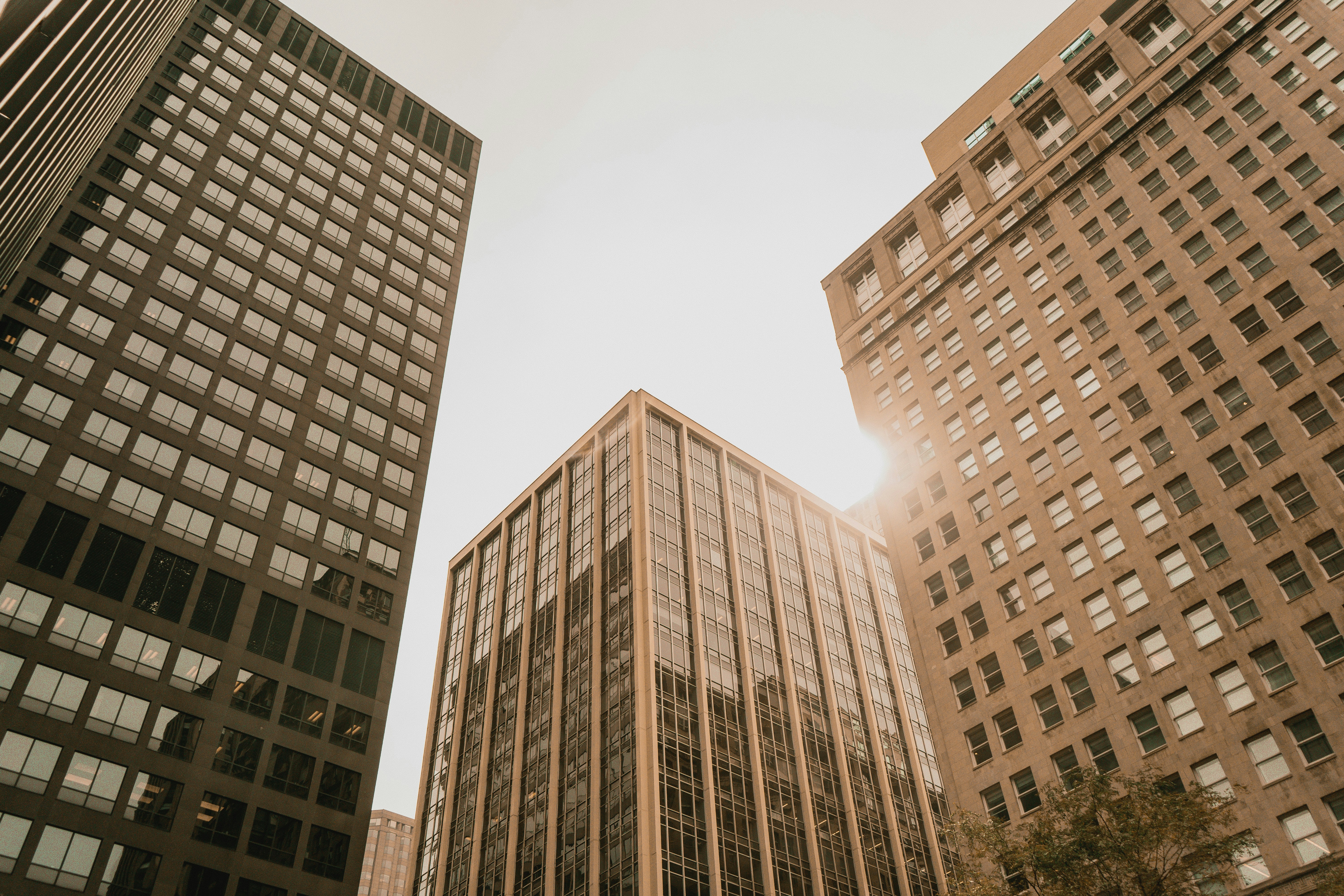 Photo by meganruthphoto