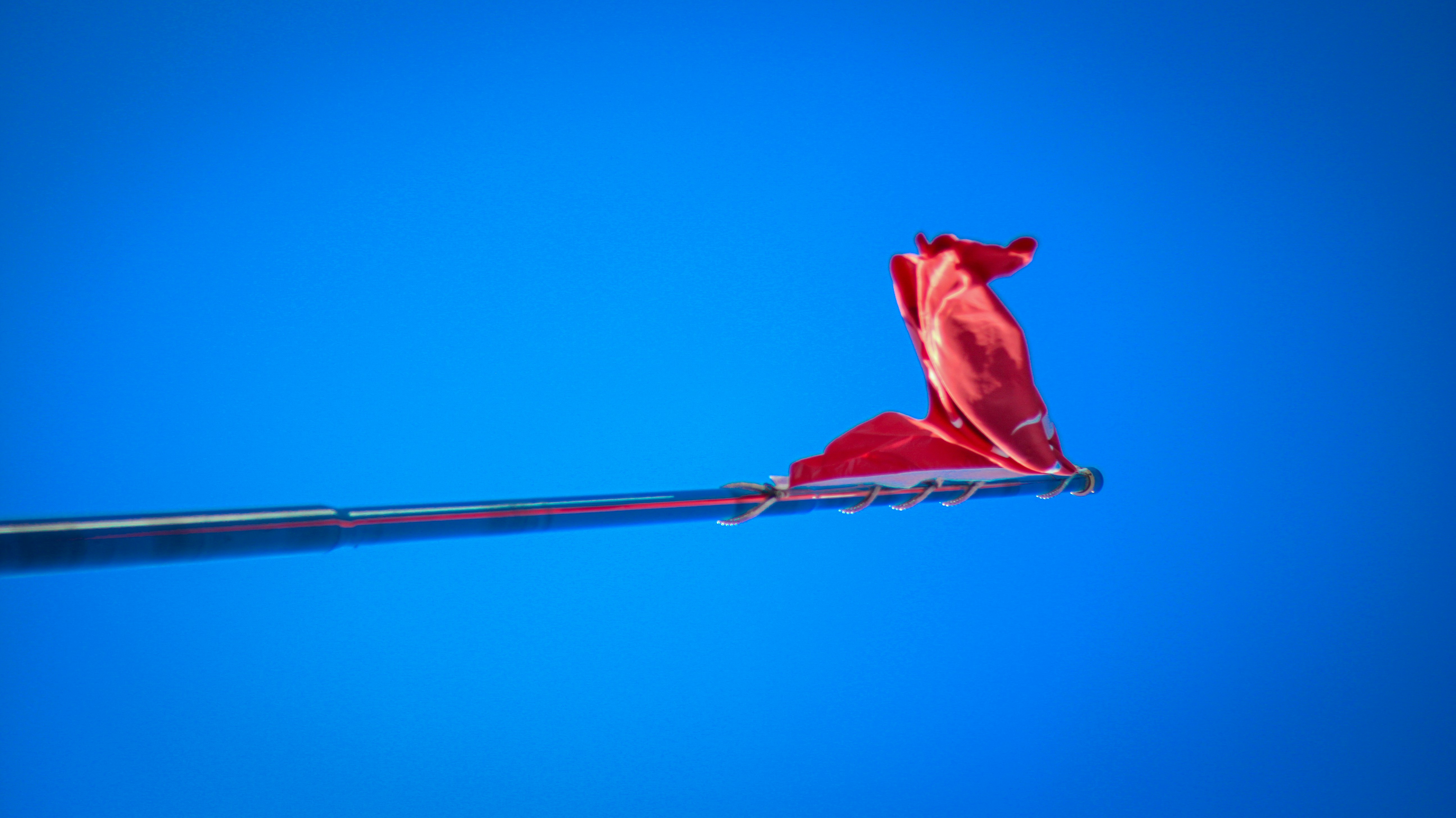 赤い凧が空高く飛んでいる