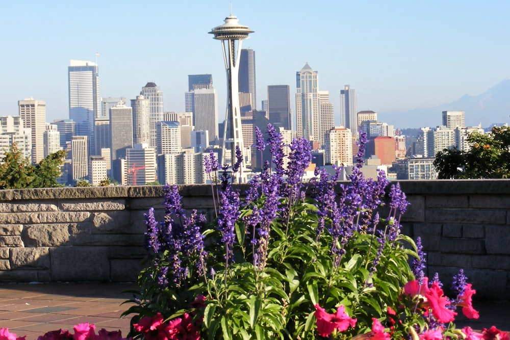 a view of the seattle skyline and the space needle