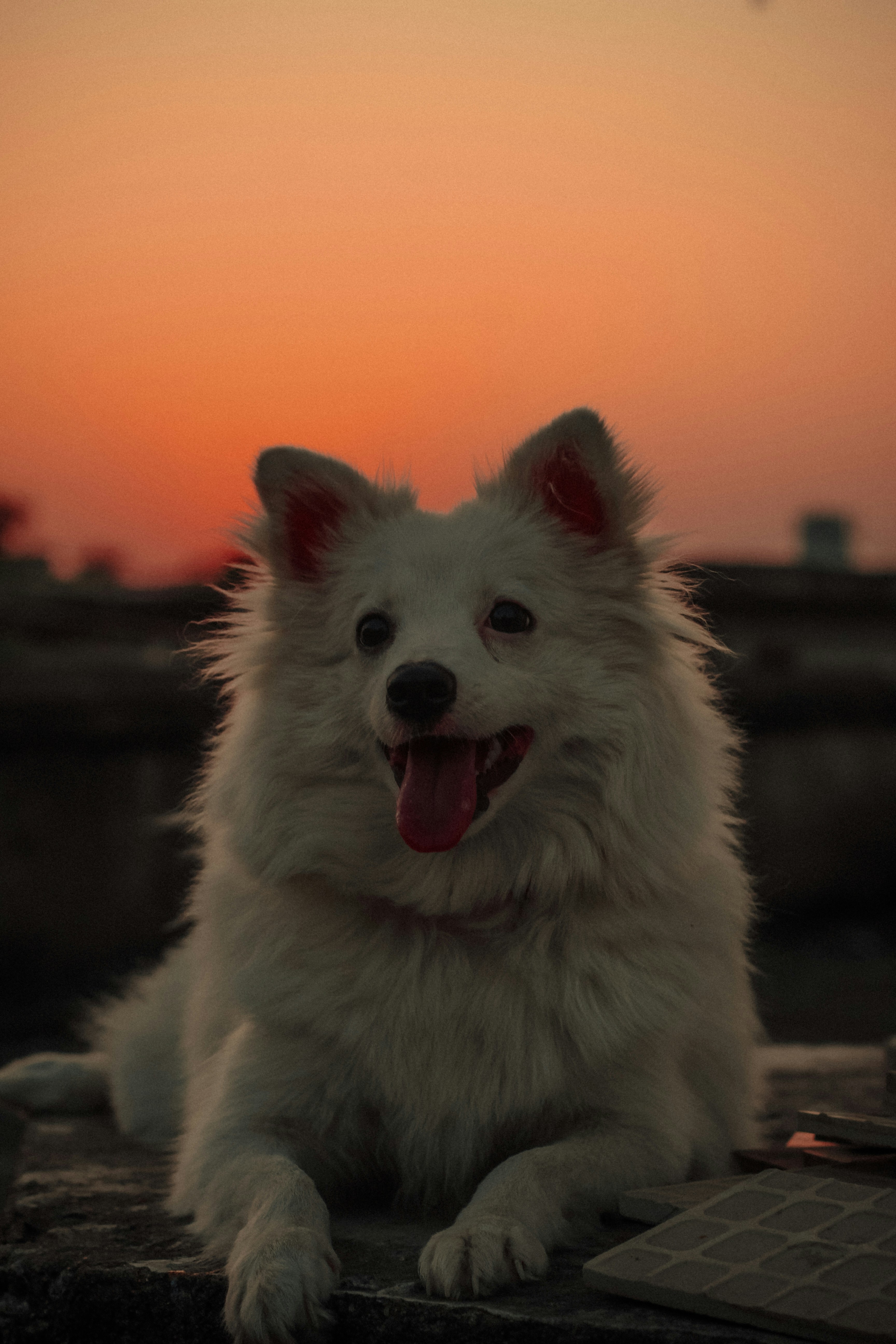 Photo by _odishawalaa___