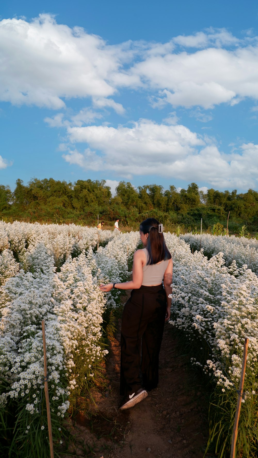 a woman standing in a field of white flowers